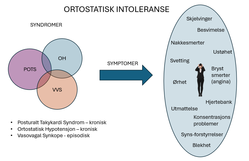 Et bilde som inneholder tekst, diagram, sirkel, skjermbilde

Automatisk generert beskrivelse