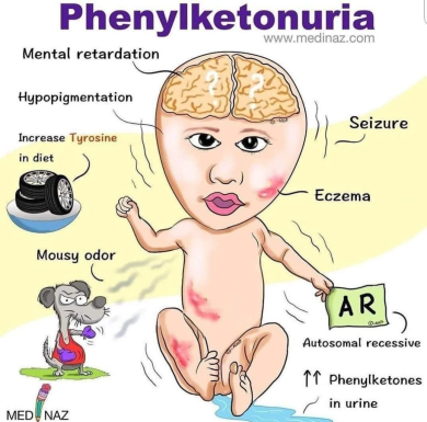 BÀI 10: MỐI QUAN HỆ GIỮA KIỂU GENE, MÔI TRƯỜNG VÀ KIỂU HÌNH