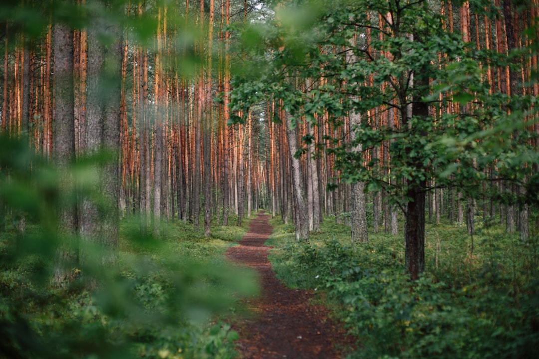A path leading to deeper understanding