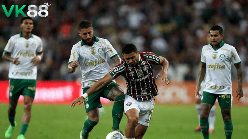 Lịch sử đối đầu Fluminense vs Palmeiras 