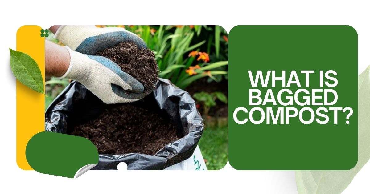 What is Bagged Compost?