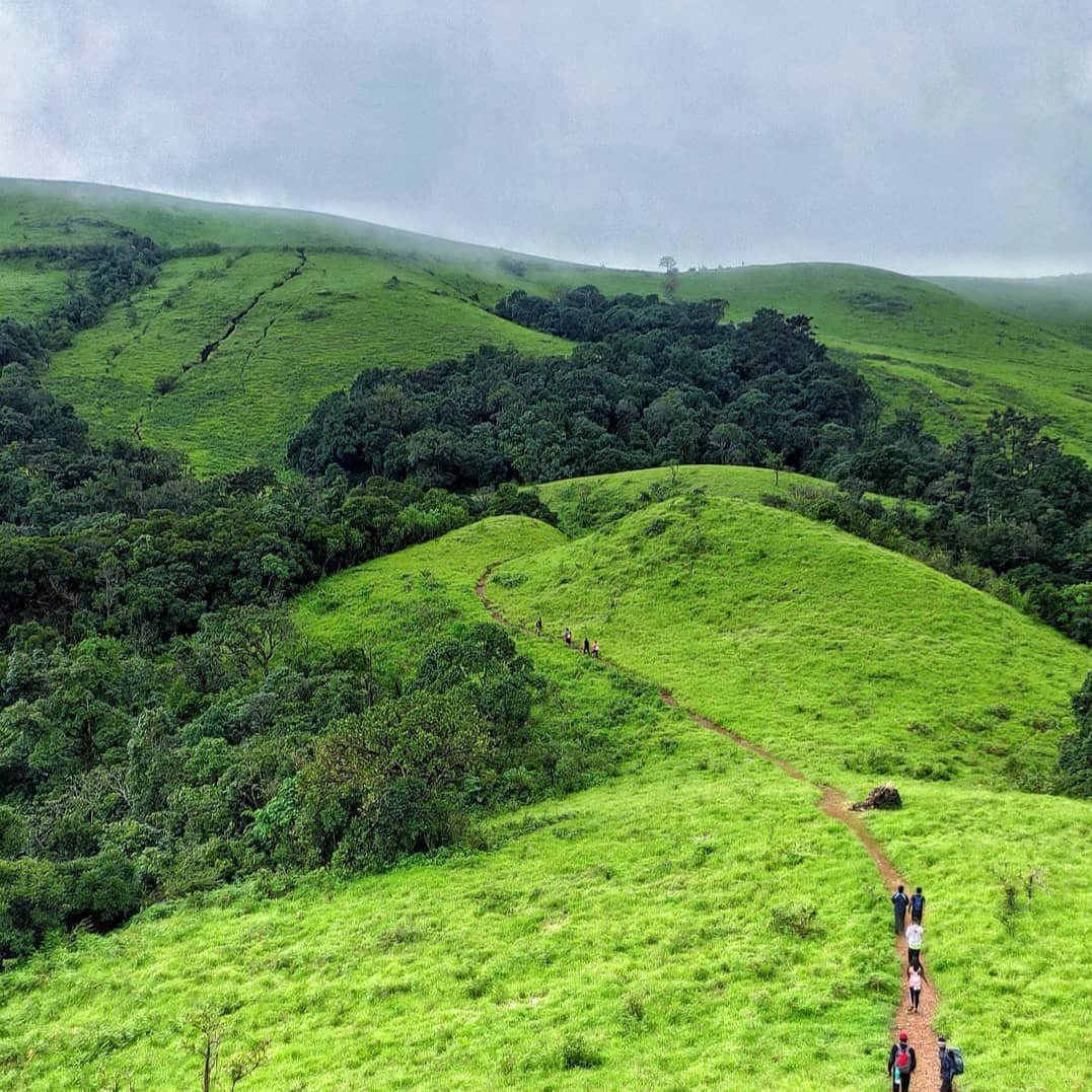 kodachadri trek