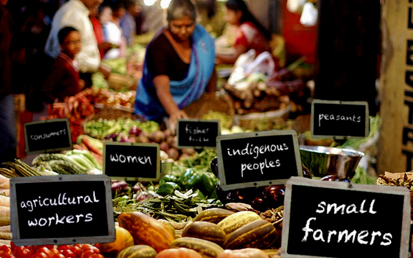 food-sovereignty-png.jpg