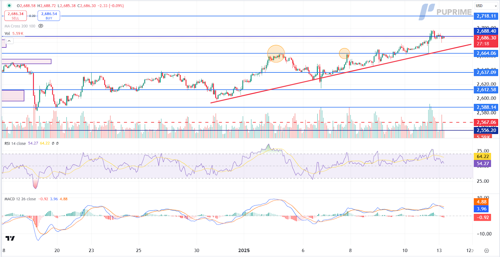 xauusd 13012025