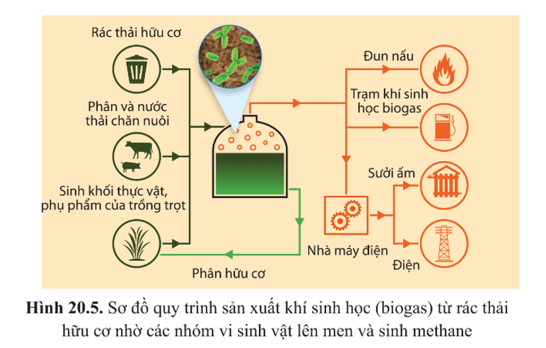 BÀI 20 - THÀNH TỰU CỦA CÔNG NGHỆ VI SINH VẬT VÀ ỨNG DỤNG CỦA VI SINH VẬT