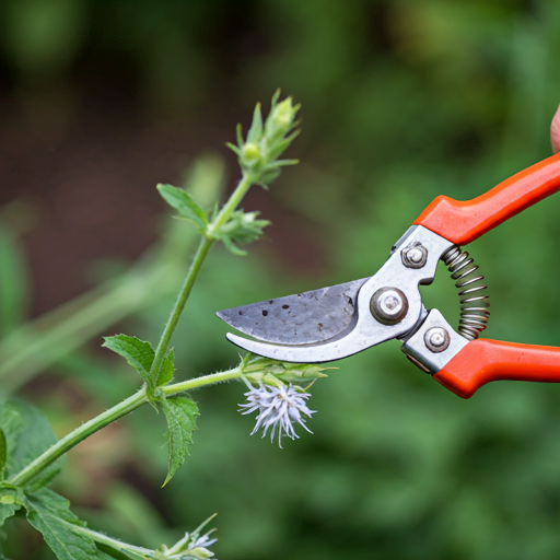 Pruning and Maintenance