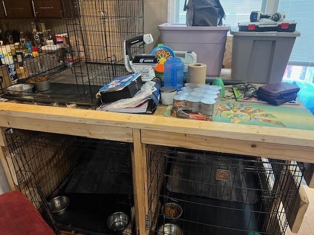 A dog cages and food on top of a table

AI-generated content may be incorrect.