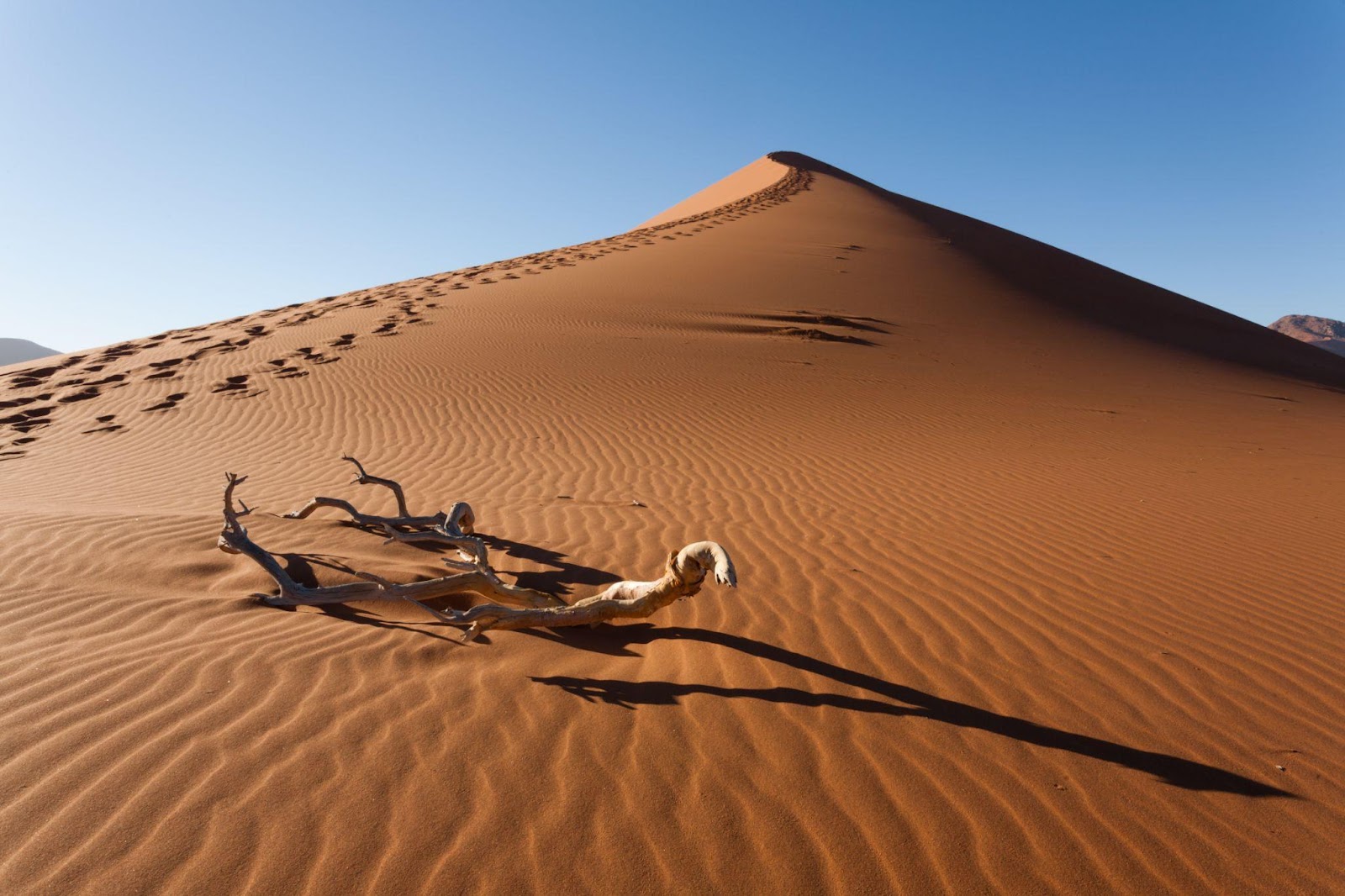 Desert Destinations