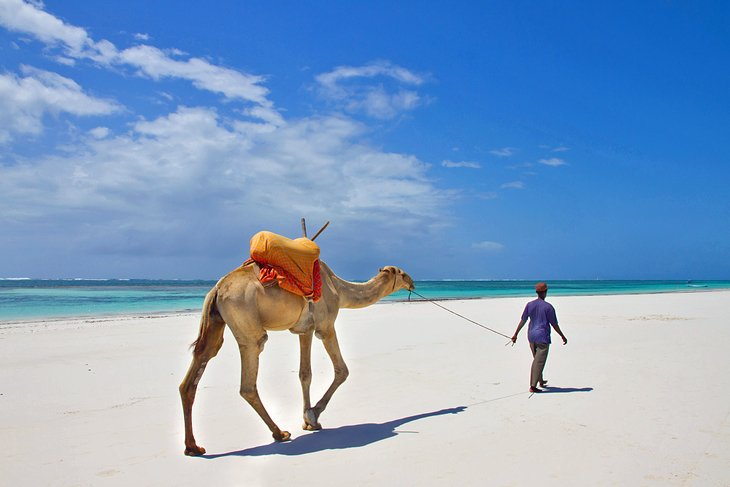 The Diani Beach, Kenya