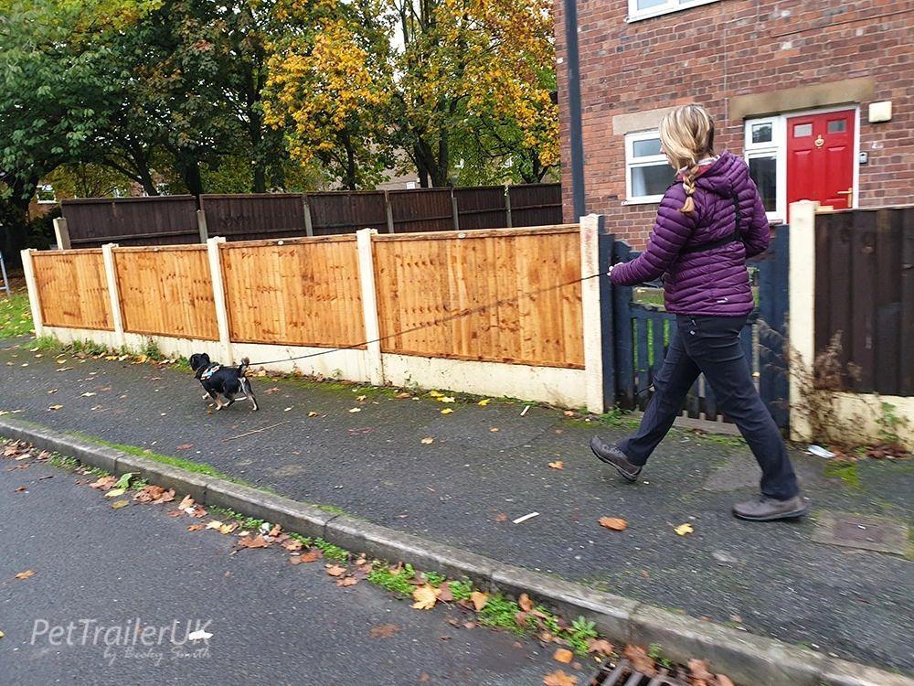 Rachel pet trailing with her dog Rico