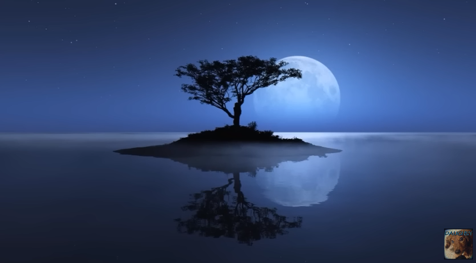 A solitary tree on a small island reflected in calm water under a night sky illuminated with a moon.