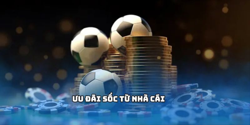 AD 4nXfyE0MD4eeWMGGlyNC1YcWh8onJdOK9UhT7WppZqb6p6OplXJltlwdUyoUNZCDxAPNEJTJn10etc0WVdQ1f6Vy Mmv5K9XxypmkZkf5liC1denU0MrStuw9jGAMDj2cL1Sp7Q ziQ?key=1wkh03QOciJmDflef rTzA