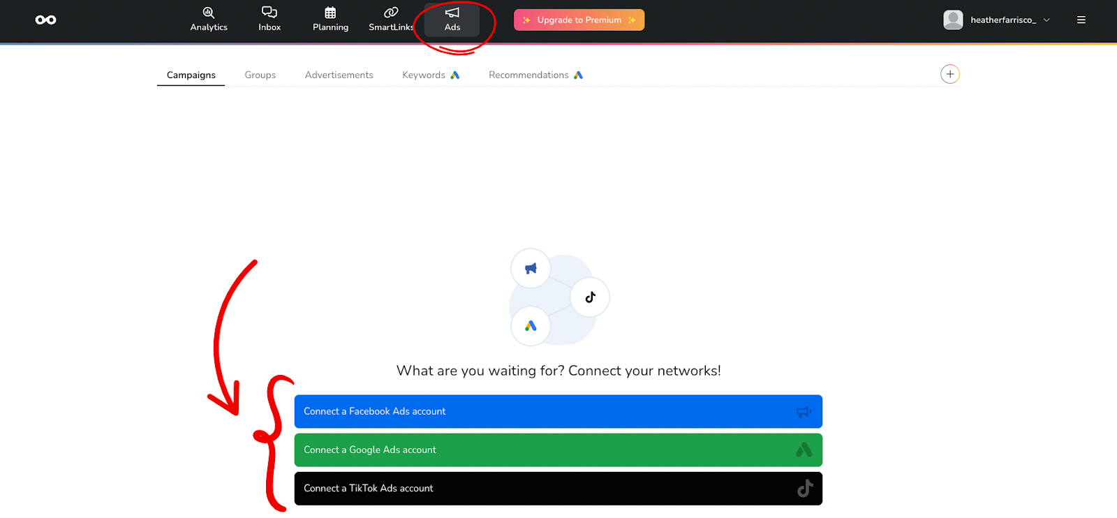 ads management in Metricool