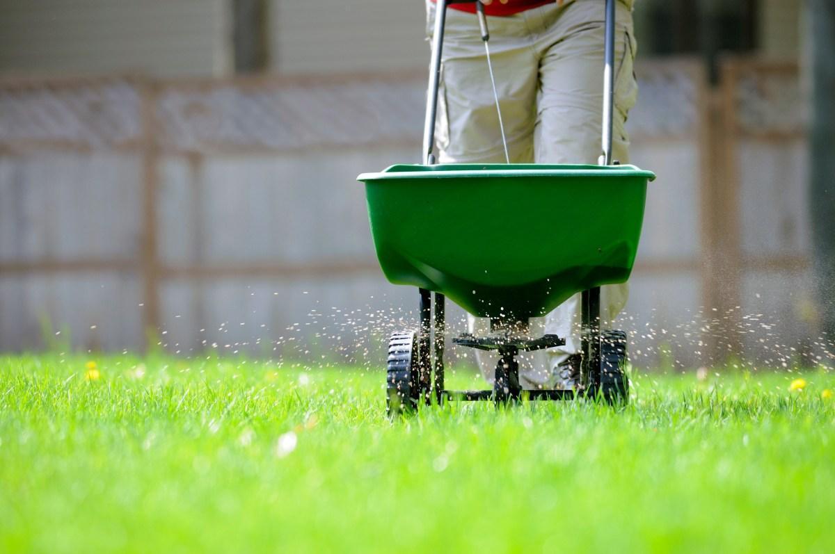 Fertilizing Lawn