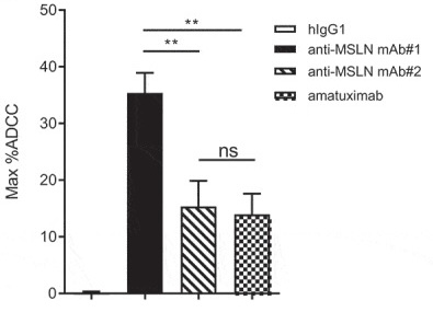 Schematic diagram of Mesothelin structure and the impact of different epitopes on antibody in vitro efficacy