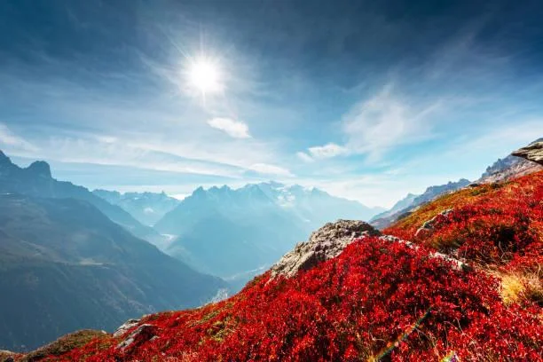 Find Peace in 20 Captivating Natural Photos, peace in nature, captivating photos, nature, landscape, tranquil views, relaxing images