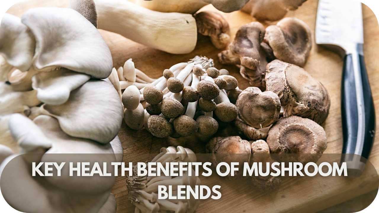 The essential health benefits of functional mushroom blends for energy, immunity, and more.