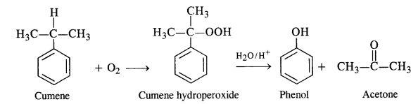 NCERT Solutions For Class 12 Chemistry Chapter 11 Alcohols Phenols and Ether Exercises Q9.1