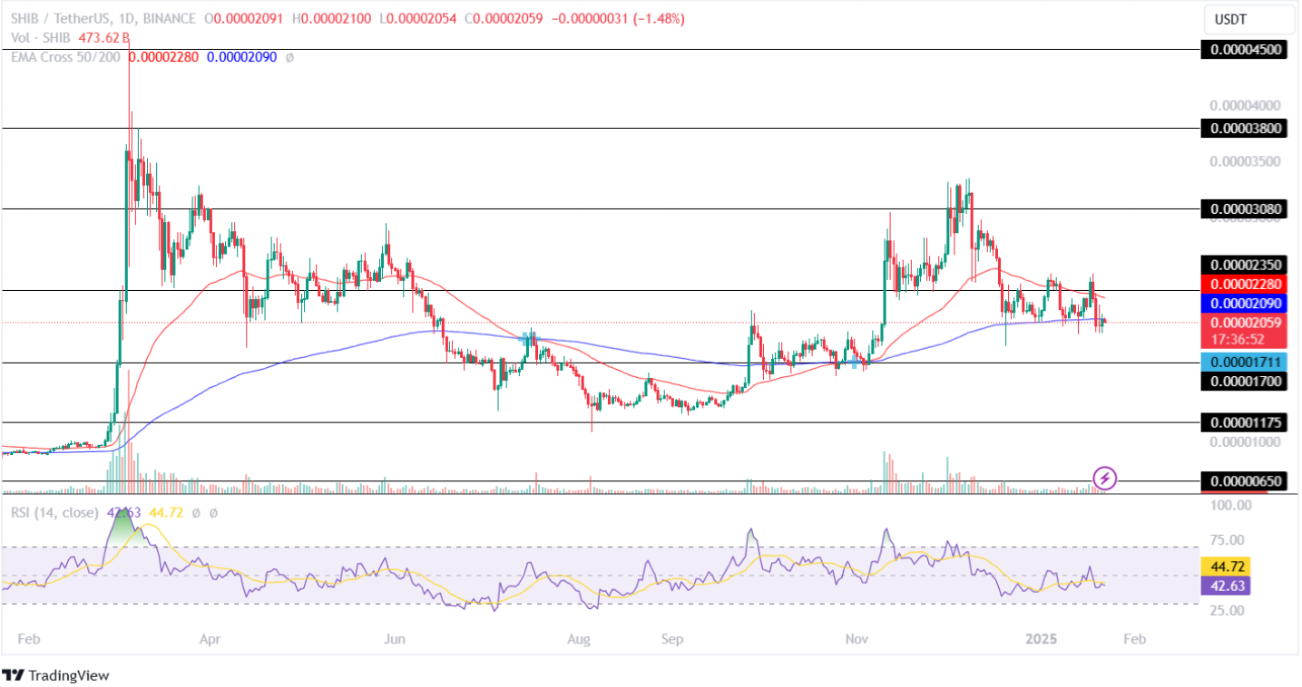 Shiba Inu price analysis as of January 22, 2025