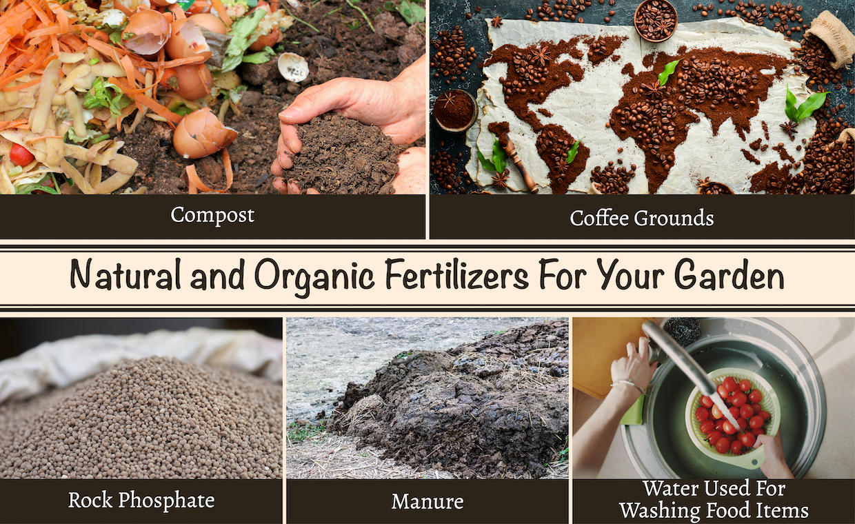 Natural and Organic Fertilizers for Garden