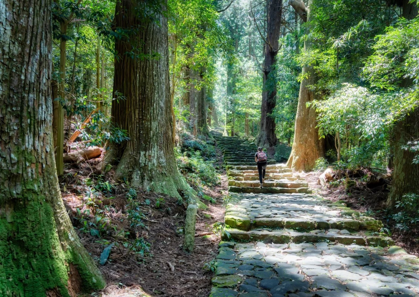 Kumano Kodo