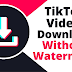 How to Download a TikTok Video Without Watermark