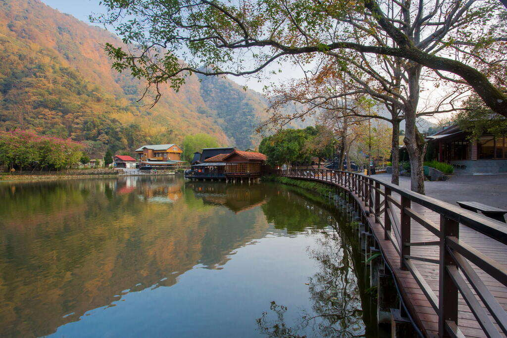 A peaceful cycling path shaded by lush green trees near Sun Moon Lake