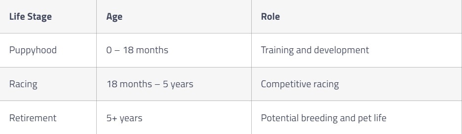 Here is a table that presents a simplified summary of female greyhounds’ part in breeding. Source: oxford-stadium.co.uk