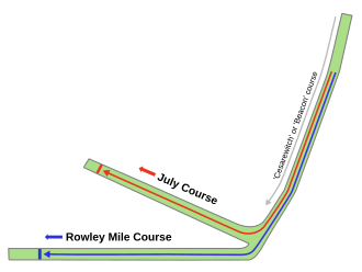 Newmarket Racecourses. Source: wikipedia