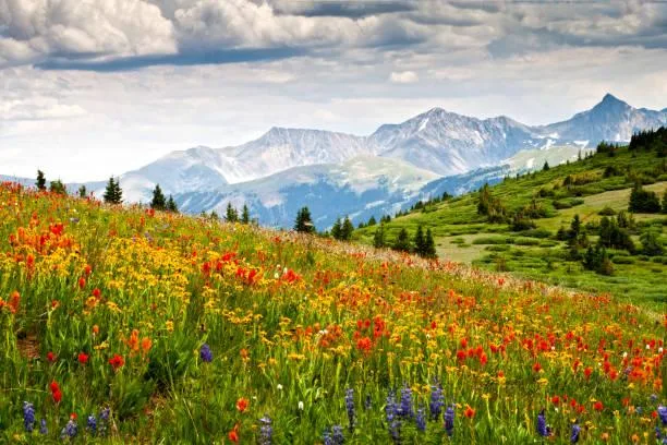 10 Peaceful Escapes Through the Lens of Nature, nature escape, peaceful lens, nature, forest, landscape, travel peace, scenic getaways