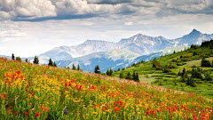 10 Peaceful Escapes Through the Lens of Nature