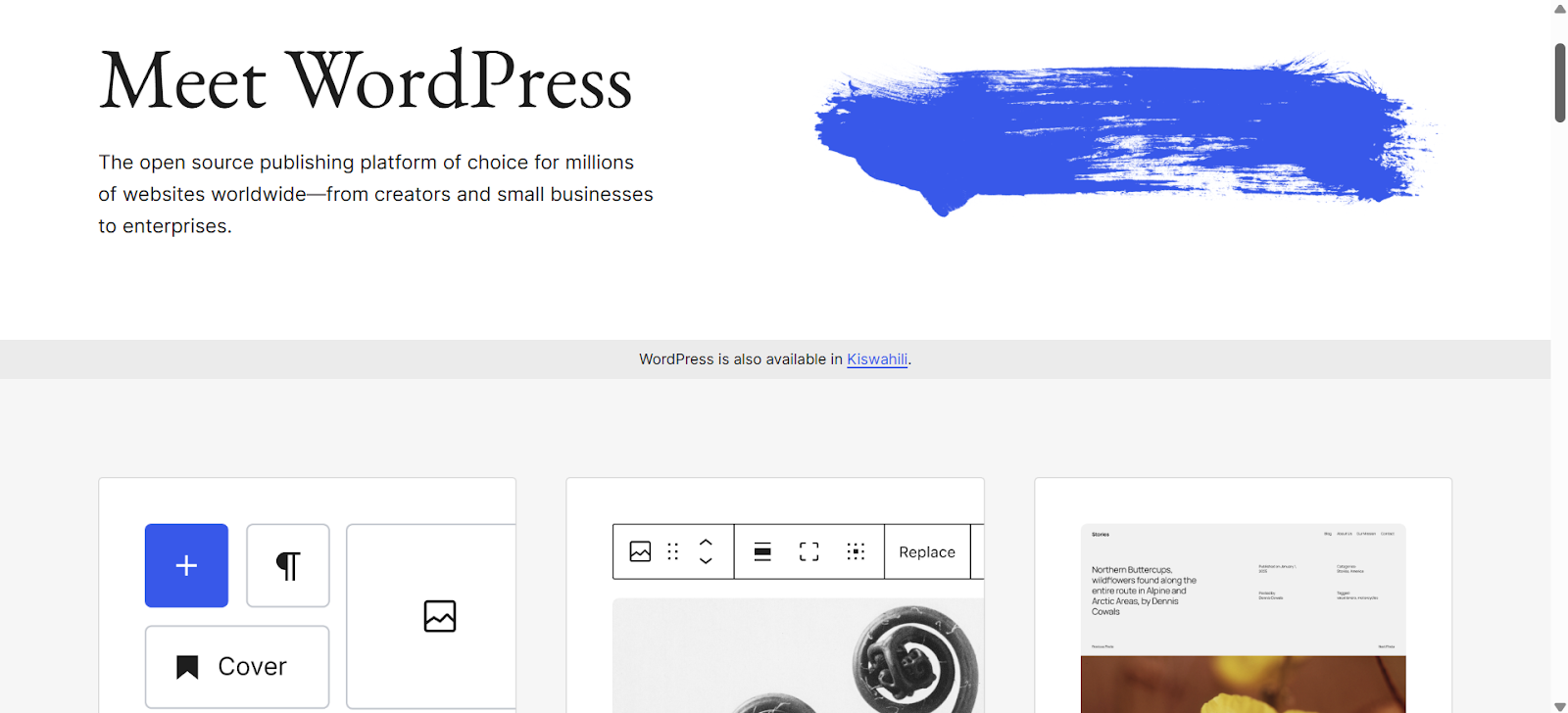 a screenshot of WordPress.org