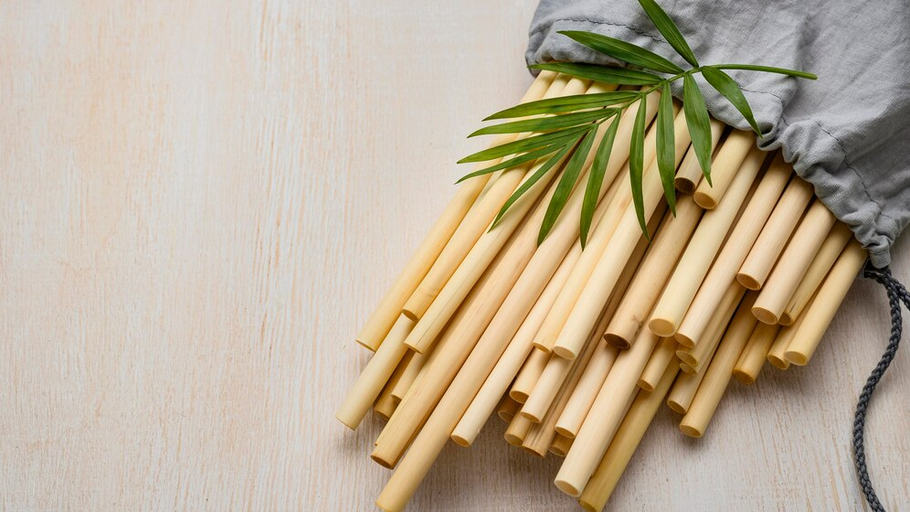 bamboo plant vastu