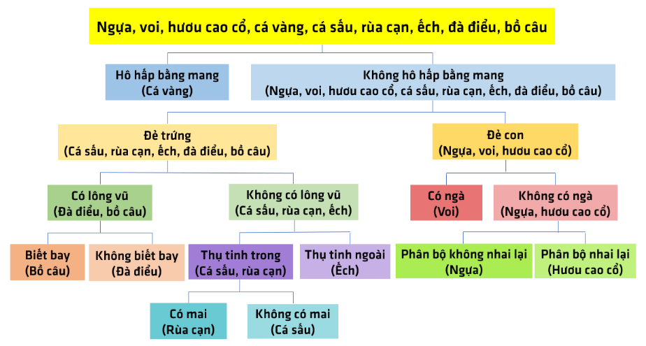 BÀI 32: THỰC HÀNH QUAN SÁT VÀ PHÂN LOẠI ĐỘNG VẬT NGOÀI THIÊN NHIÊN