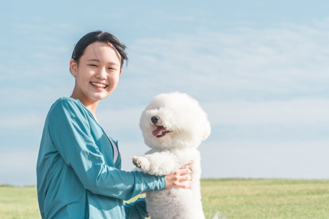 笑っている飼い主と白いビションフリーゼ