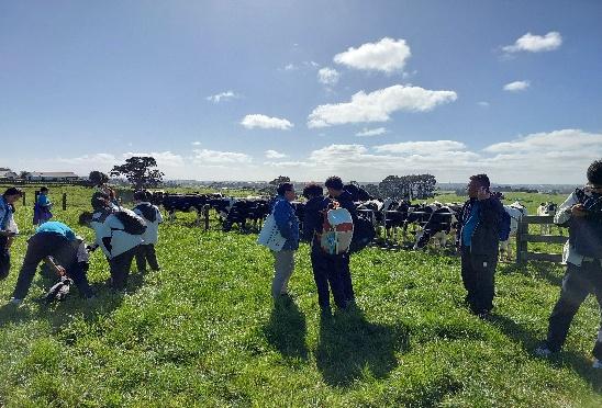A group of people standing in a field with cows AI-generated content may be incorrect.