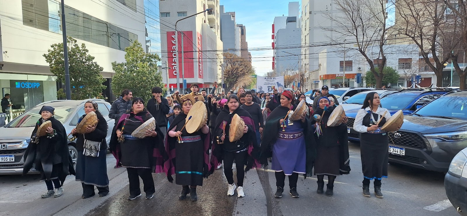 Mujeres mapuche reclaman que se les otorgue la personería jurídica de sus tierras.