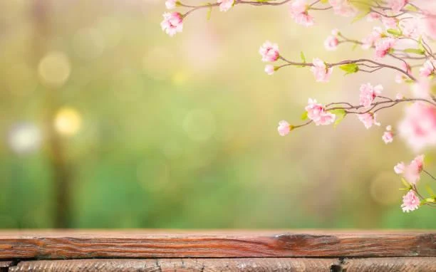 25 Nature Vistas That Open the Soul, soul nature, scenic vista, nature, forest, landscape, healing view, natural clarity