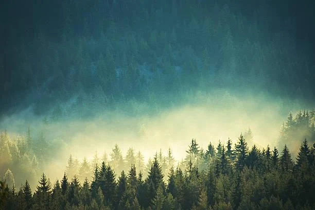 10 Peaceful Rivers Winding Through Wide Valleys, winding river, peaceful valley, nature, landscape, slow water, scenic curve