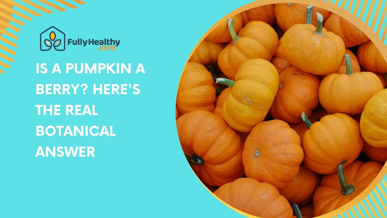 Is a Pumpkin a Berry? Here's the Real Botanical Answer