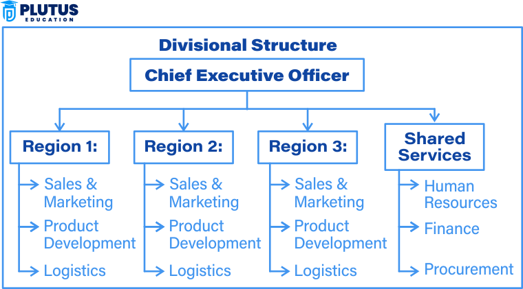 divisional structure
