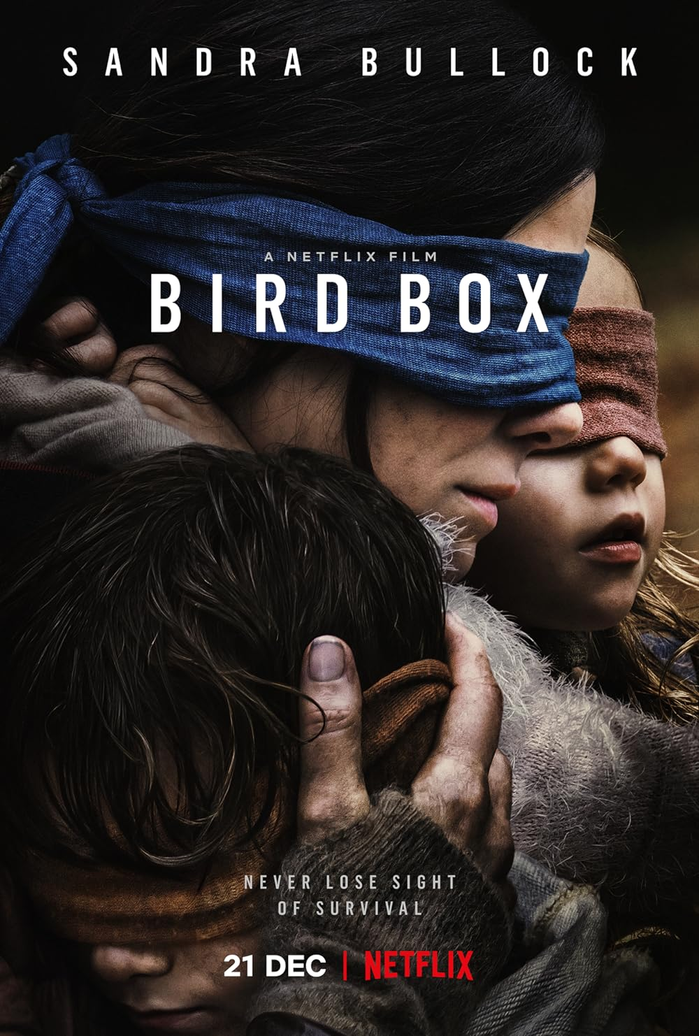 Bird Box- 18 rated horror movies on netflix