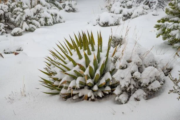15 Timeless Photos of the Natural World, timeless nature, forever beauty, nature, landscape, classic landscapes, eternal scenes