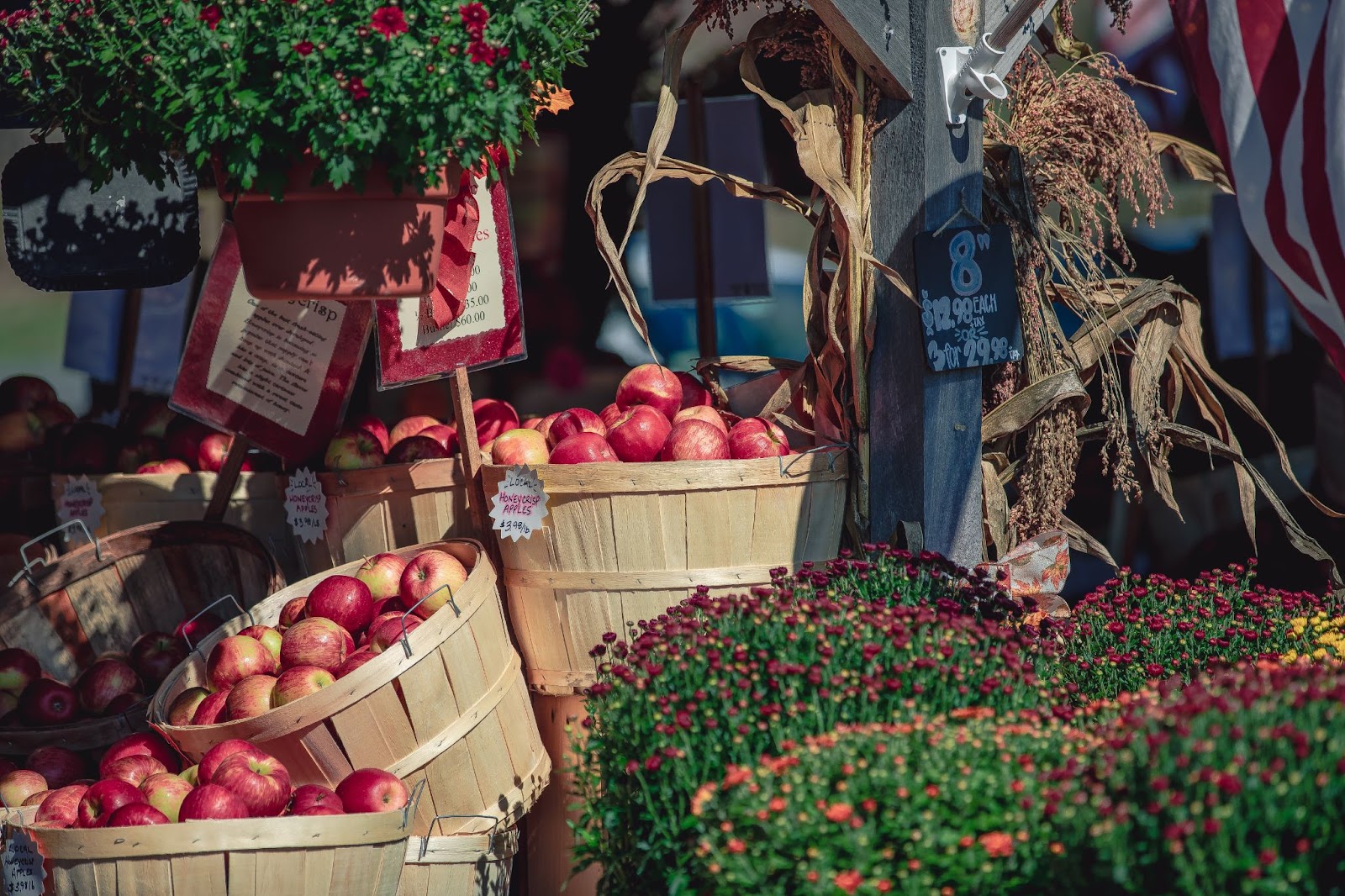 apple market basket