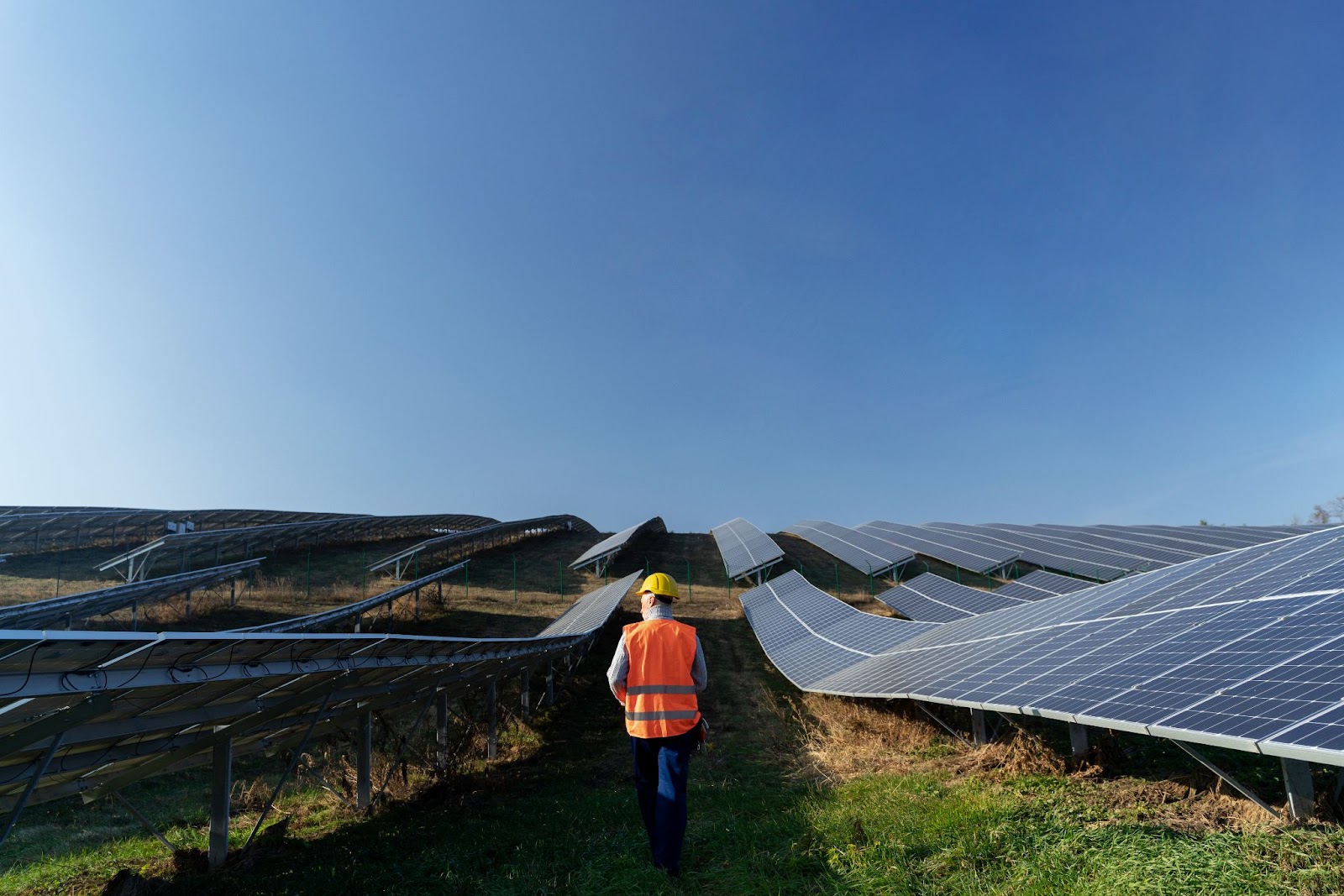 renewable energy