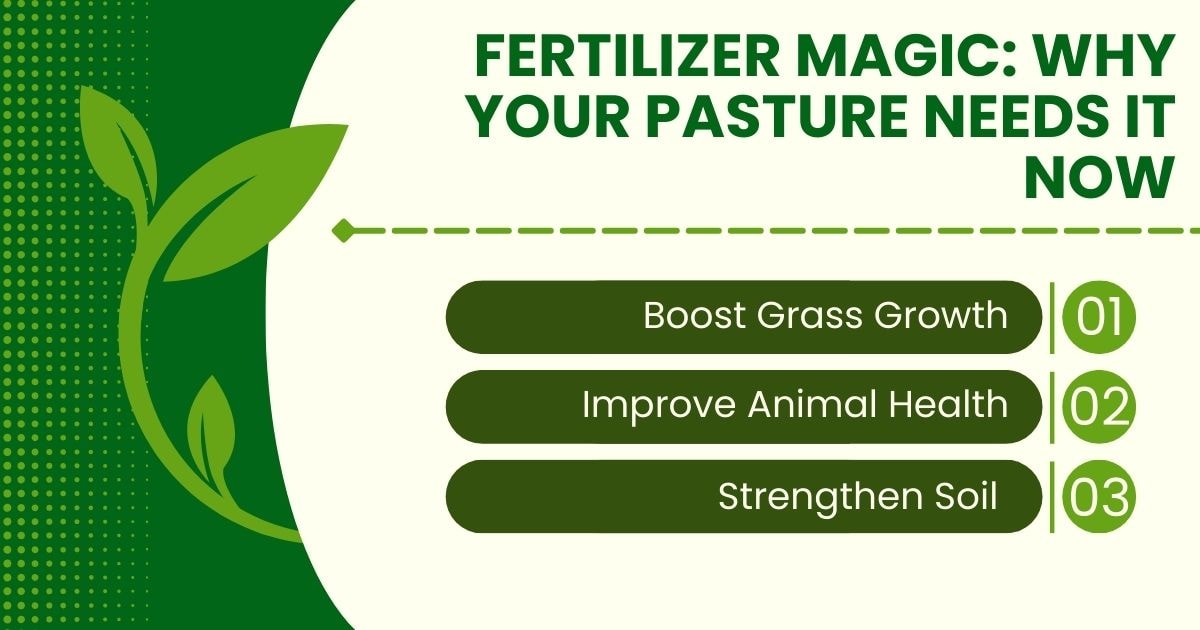 Fertilizer Magic: Why Your Pasture Needs It Now