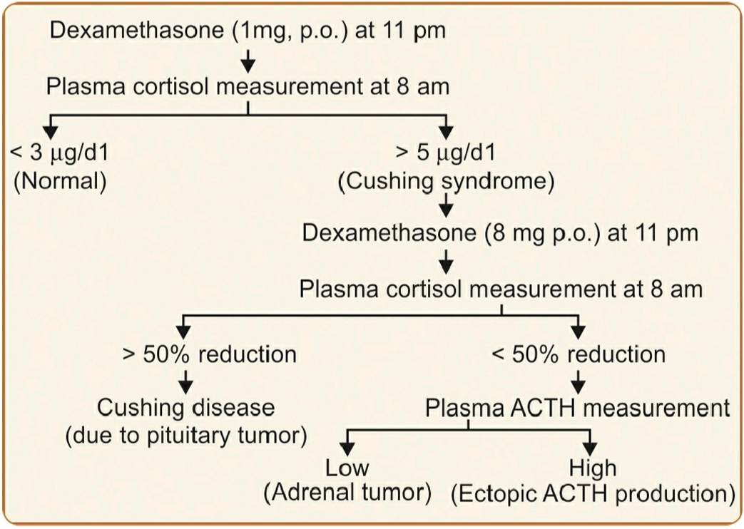 Corticosteroids