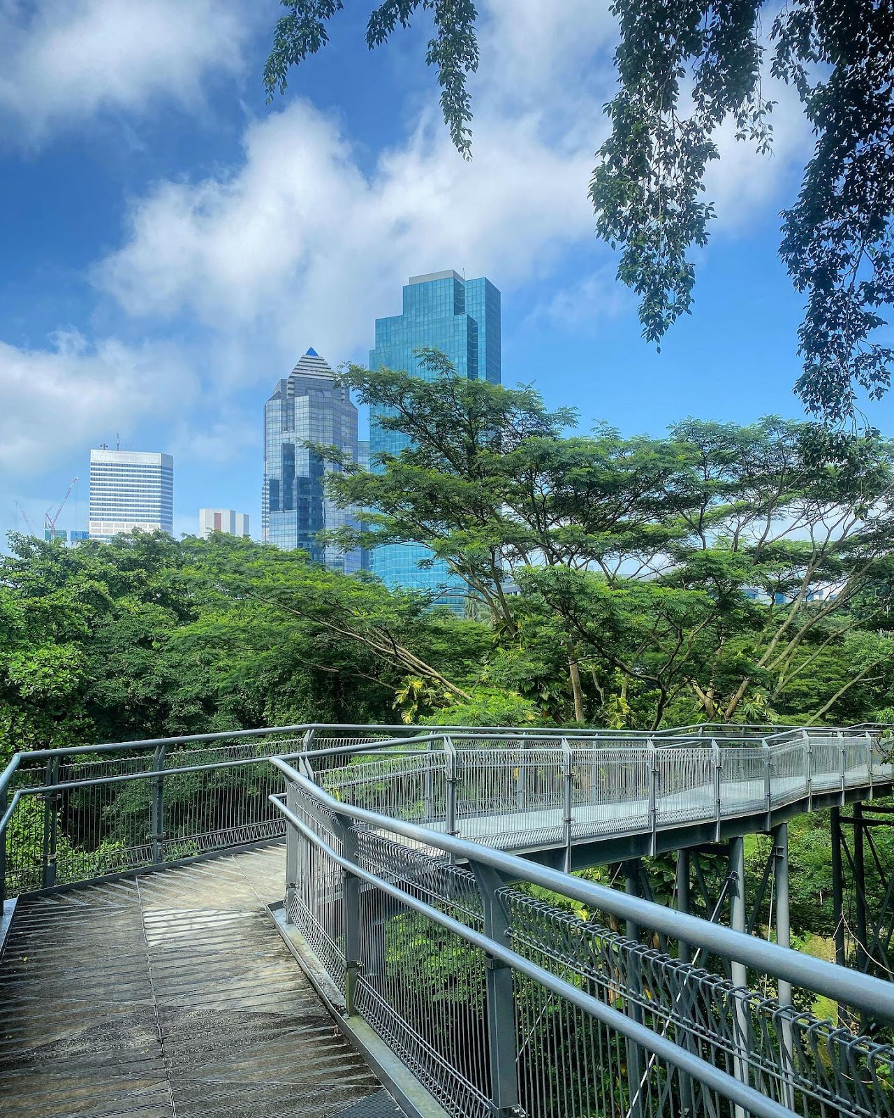 Southern Ridges Walk