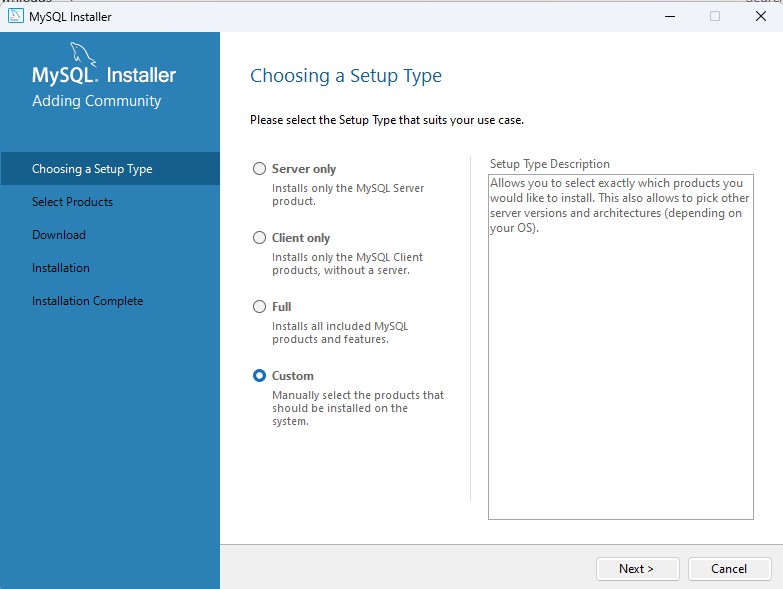 A screenshot of a computer  Description automatically generated