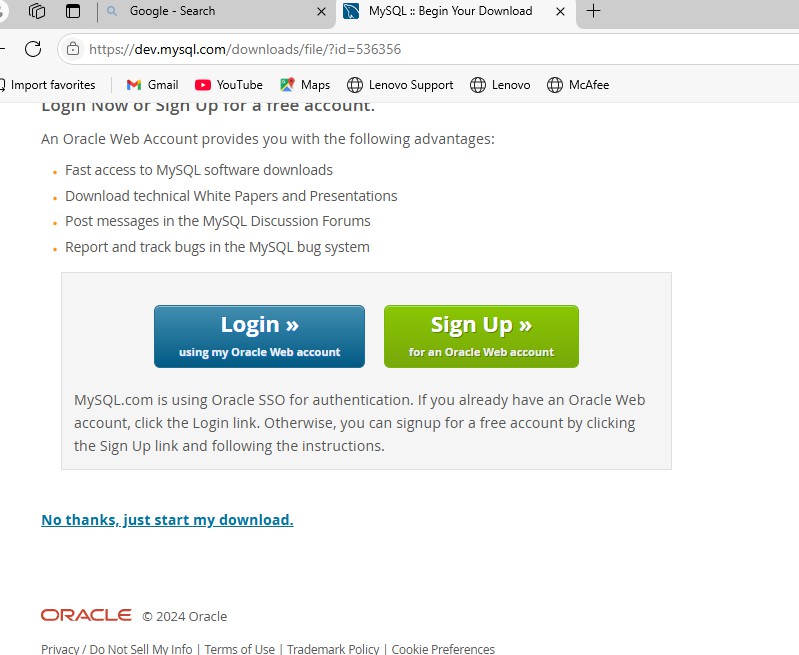 A screenshot of a computer  Description automatically generated